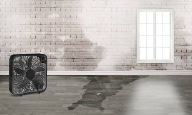 Best Flood restoration services  in Akron, OH