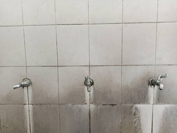 Best Water damage restoration cost  in Akron, OH