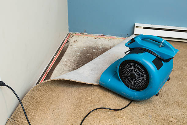 Trusted OH Water damage restoration Experts